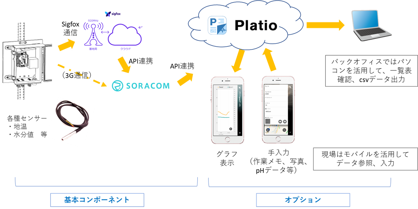 Platio-1.png