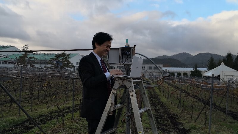 丹波ワイナリー農業IoT設置